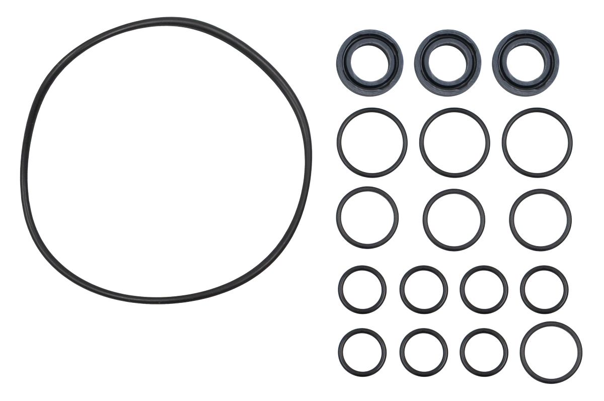Oil Seal Kit[115 50190256]