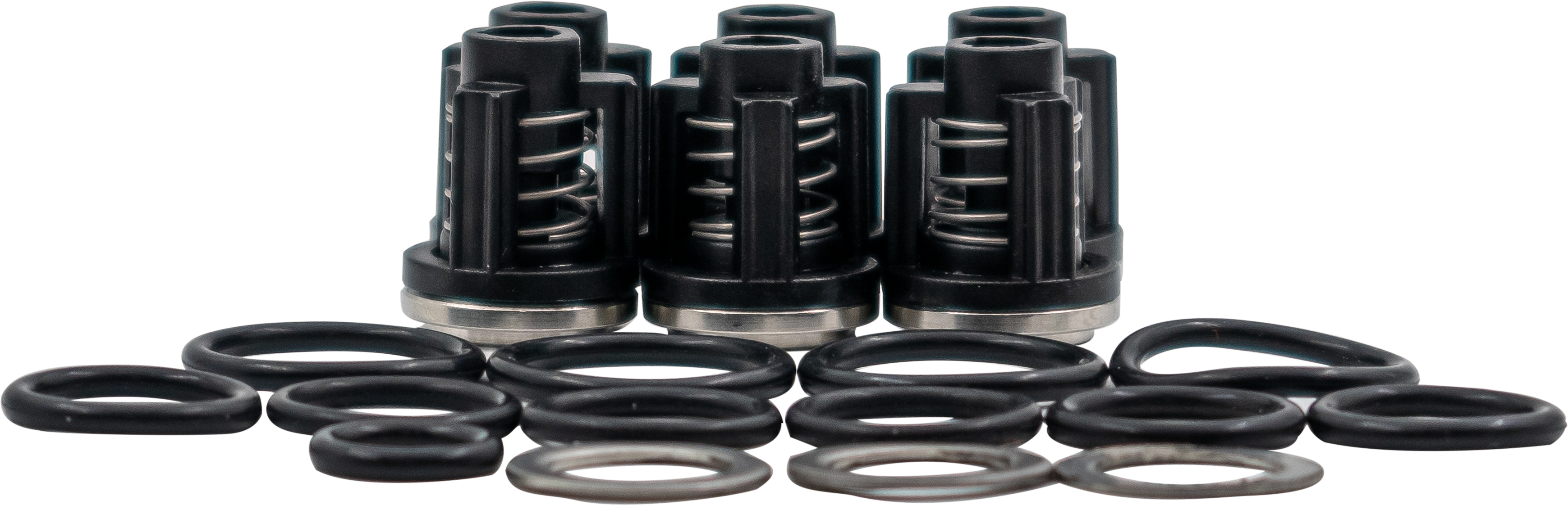 Valve Kit suct/del  KS/Scout [115 50250019]