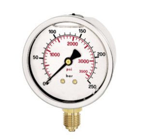Gauge 63 mm 300 Bar 1/4 [115 18160106]