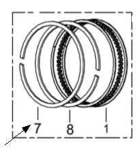 RING, THE FIRST