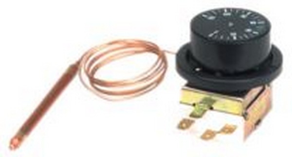 Thermostat + Ext. Probe (D10) [145 12.5050.00]