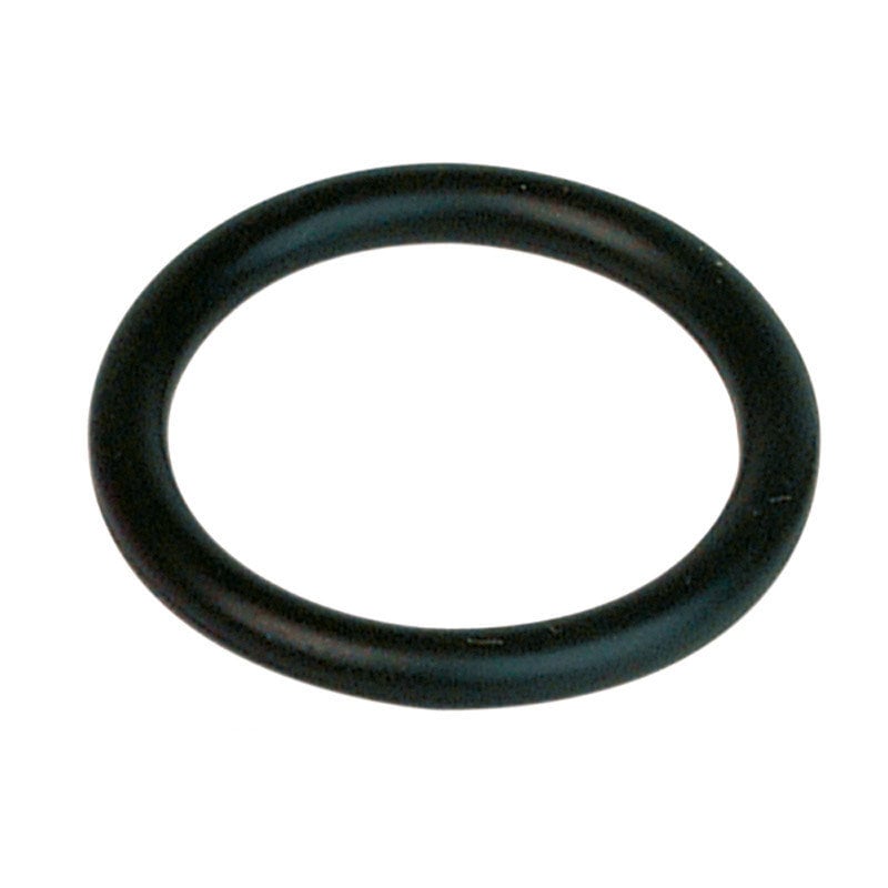 Gasket for Line Strainer [155 G00002052]