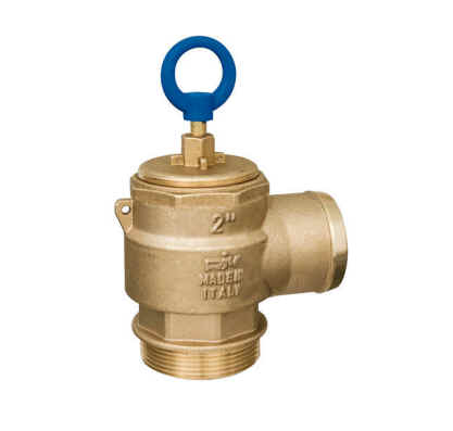 Safety Valve 2inch (C1) [165 RIV250-2]