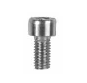 Stainless Steel Screw [165 RIV9851]