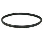 O-ring Gasket for Flange [165 RIV9858-4]