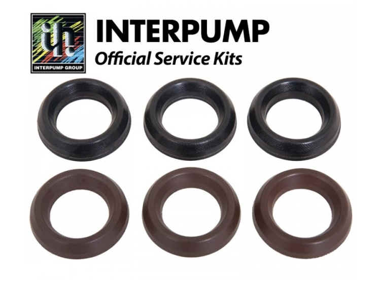 Interpump Parts Kit [222 KIT012]