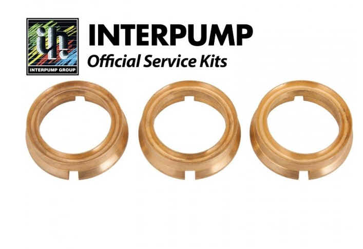 Interpump Parts Kit [222 KIT042]