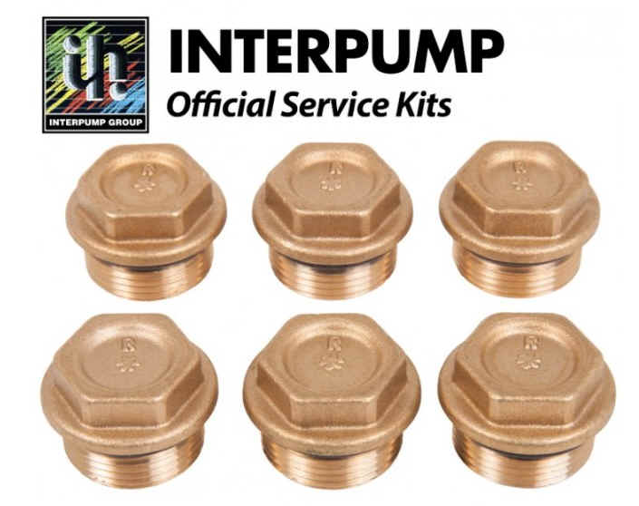Interpump Valve Plugs M24x1.5 [222 KIT084]