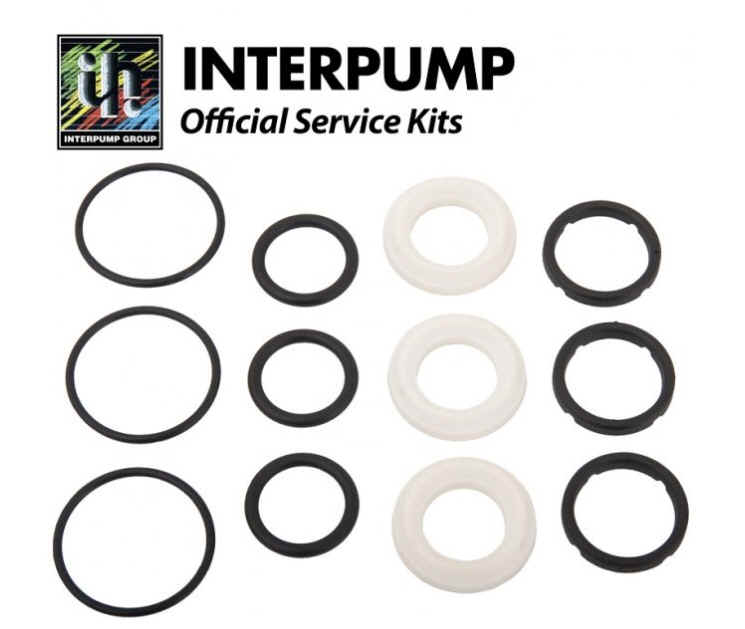 Interpump Parts Kit [222 KIT087]