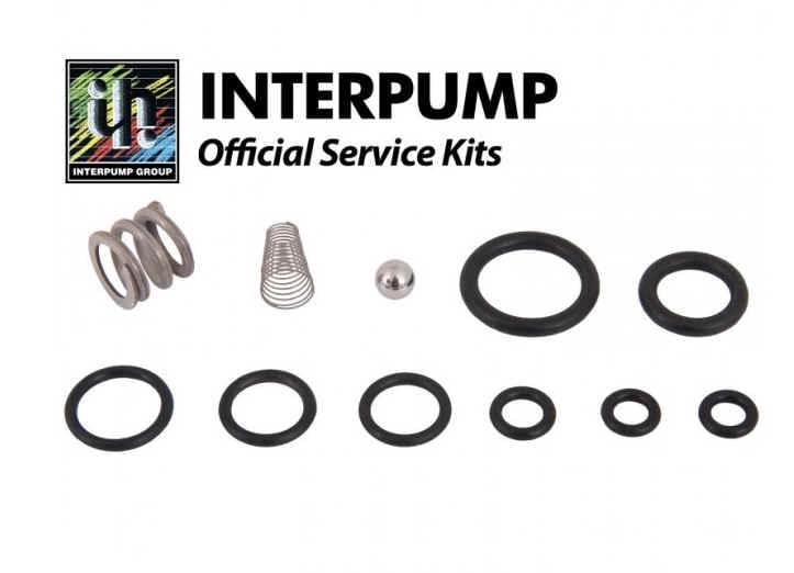 Interpump Parts Kit [222 KIT094]
