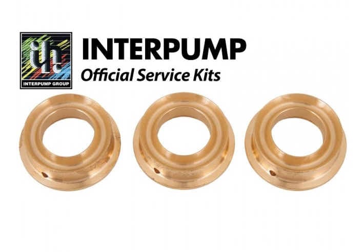 Interpump Parts Kit [222 KIT128]