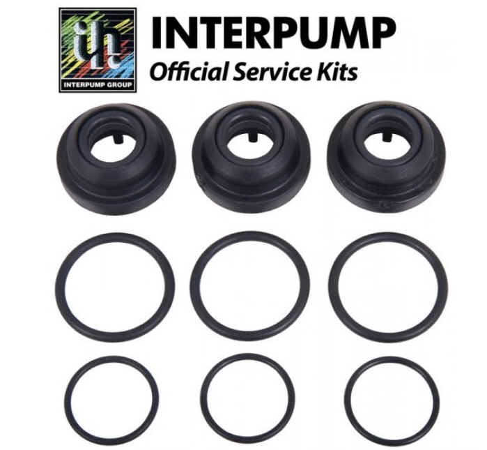 Interpump Parts Kit [222 KIT146]