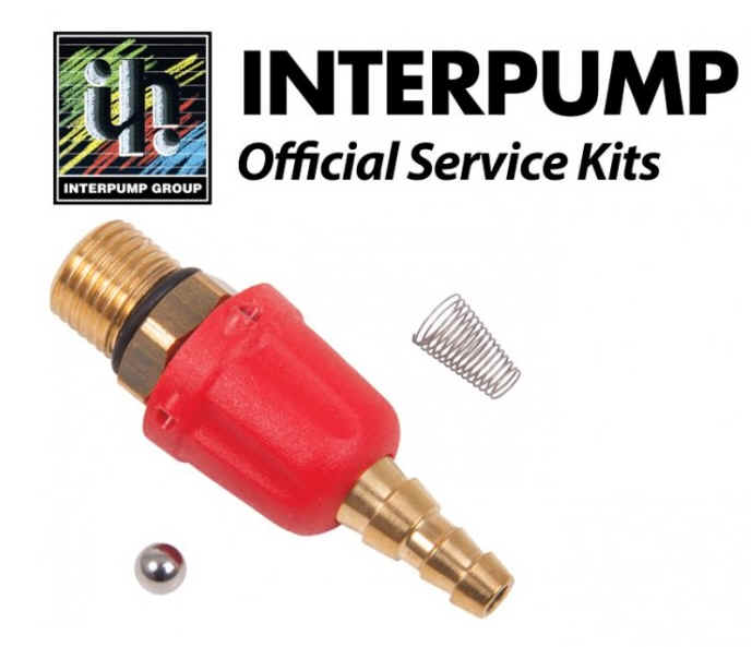 Interpump Parts Kit [222 KIT279]