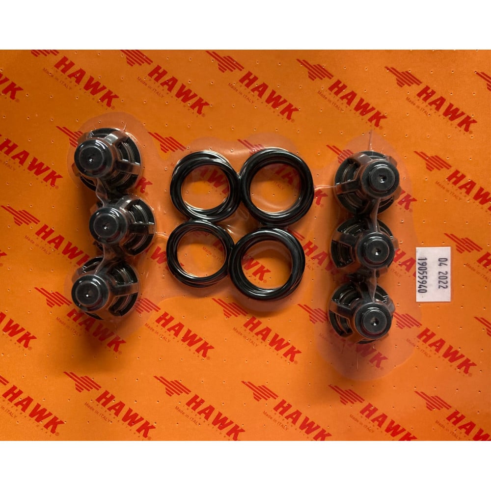 Hawk Complete Valve Kit XXT [224 1.905-594.0]