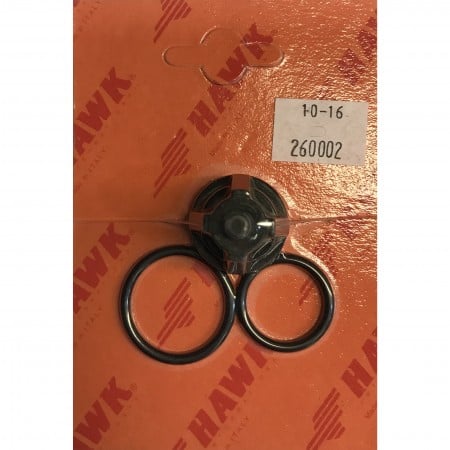 Hawk Valve Kit - Was 2600.02 [224 1.099-874.0]