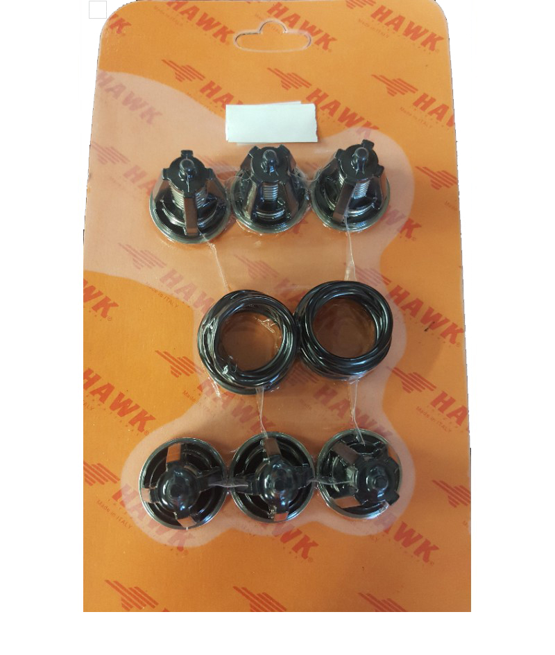 Hawk Check Valve Kit [224 1.905-686.0]