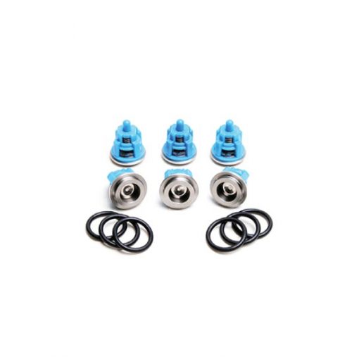 Valve Kit : Kit141 Bertolini