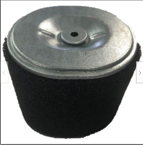 R210 Air Filter (only)  (C1) [RAT 17150-Z010110-0000]