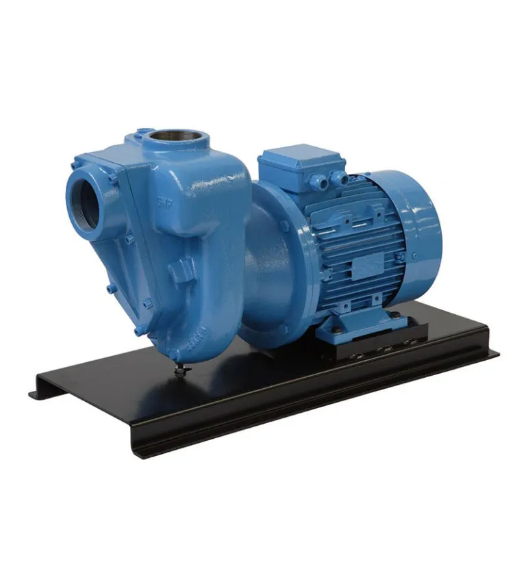 Bare Shaft Pedestal Pumps
