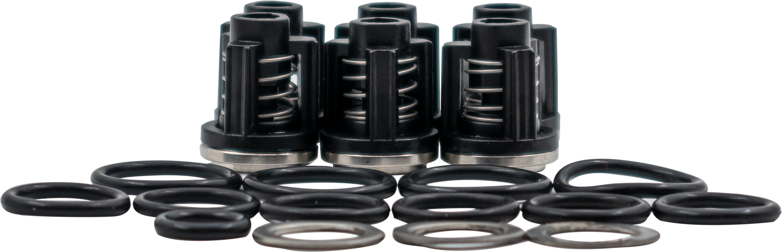Valve Kit suct/del  KS/Scout [115 50250019]