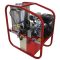 Hot Water Petrol Pressure Cleaner[122 HOT3014P-VE]