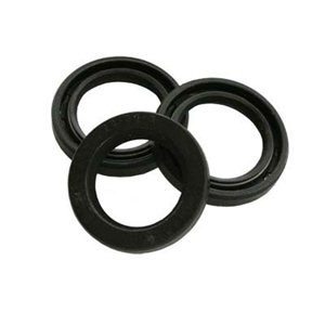 Oil Seal Kit [222 KIT023]