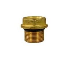 Valve Cap suits RW & ZWD 4040 [115 32020315]
