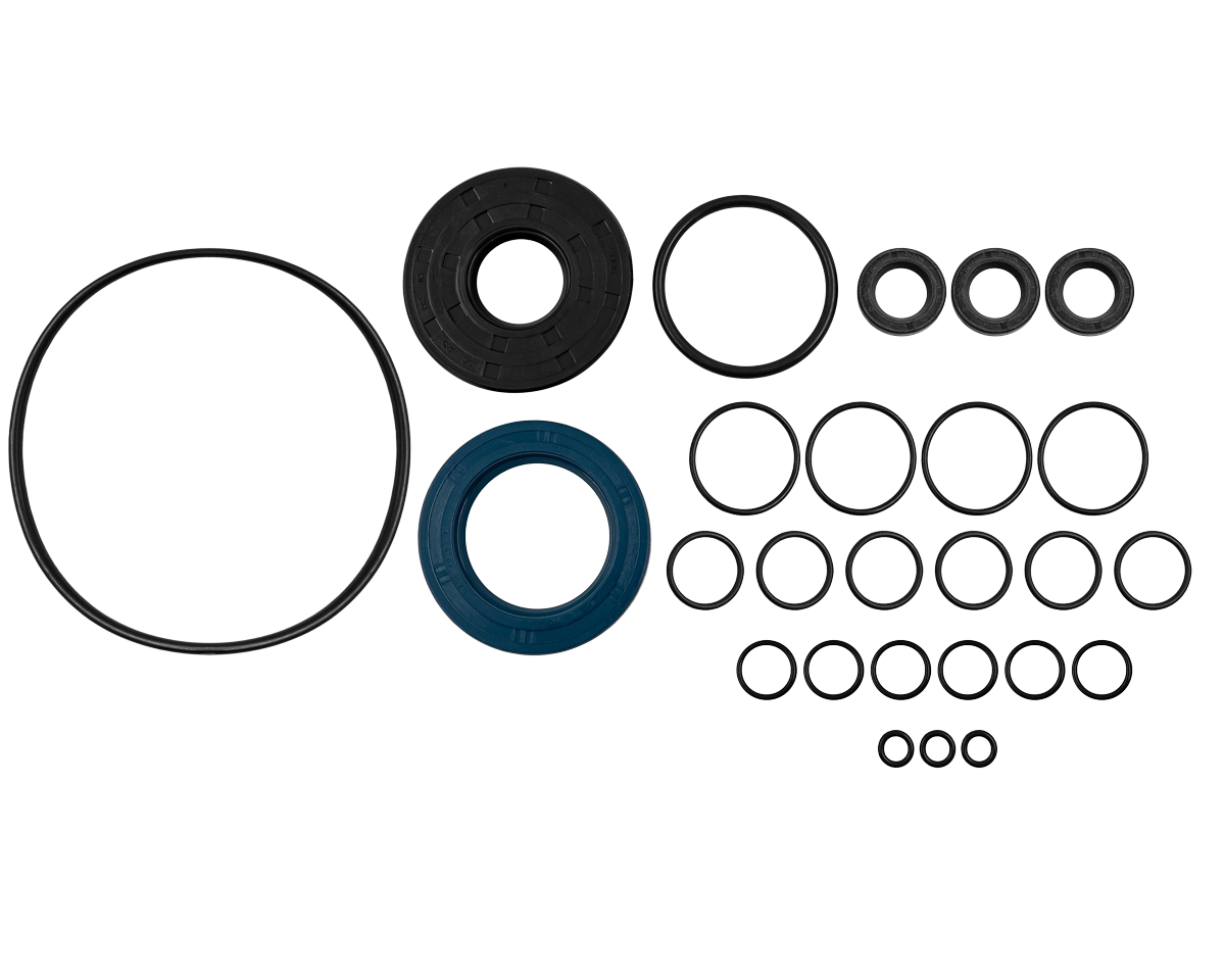 Oil Seal Kit K250 [115 50190240]