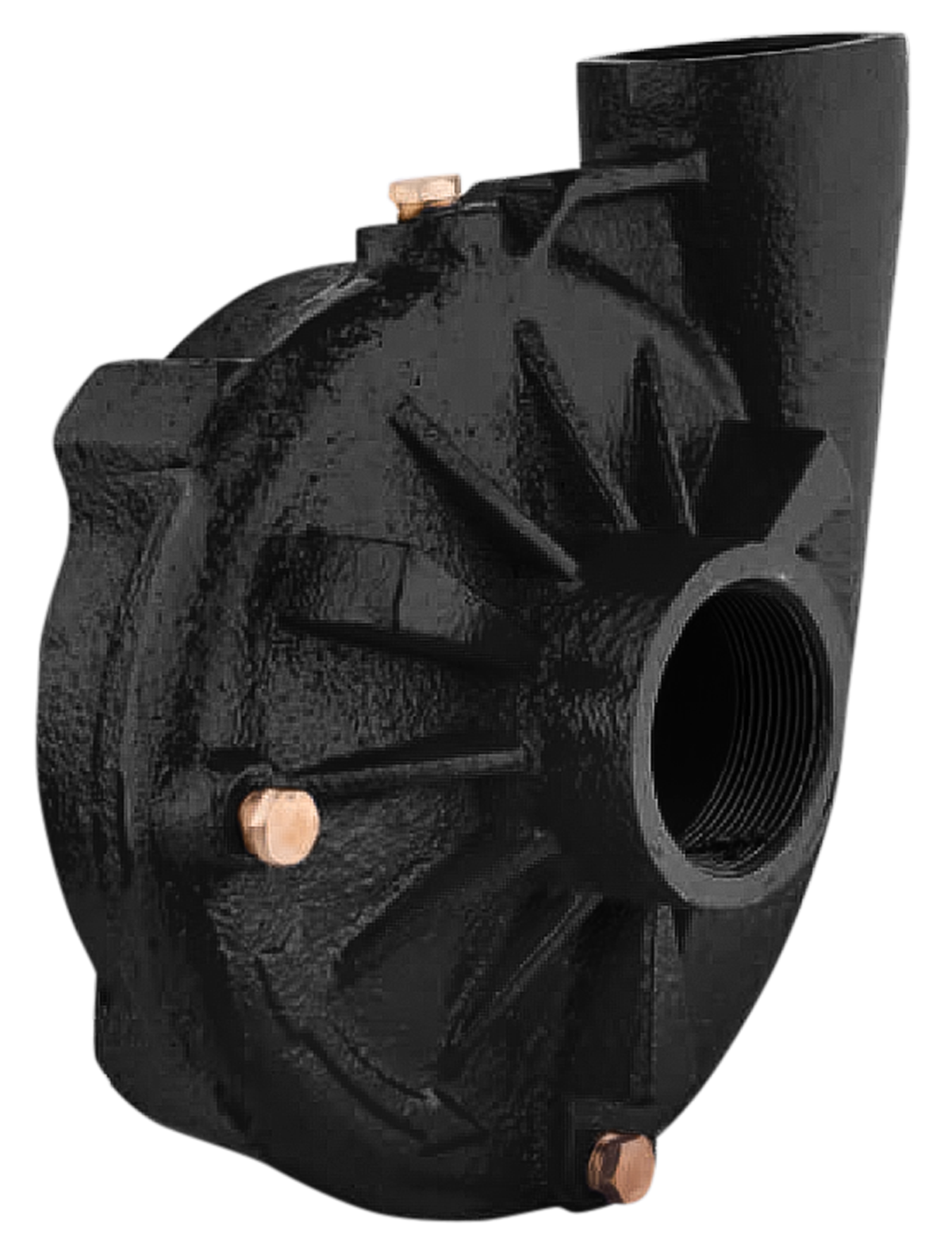 Pump - TT50B with Viton Seals, Cast Iron Pump, Painted Black [125 85.572.206]