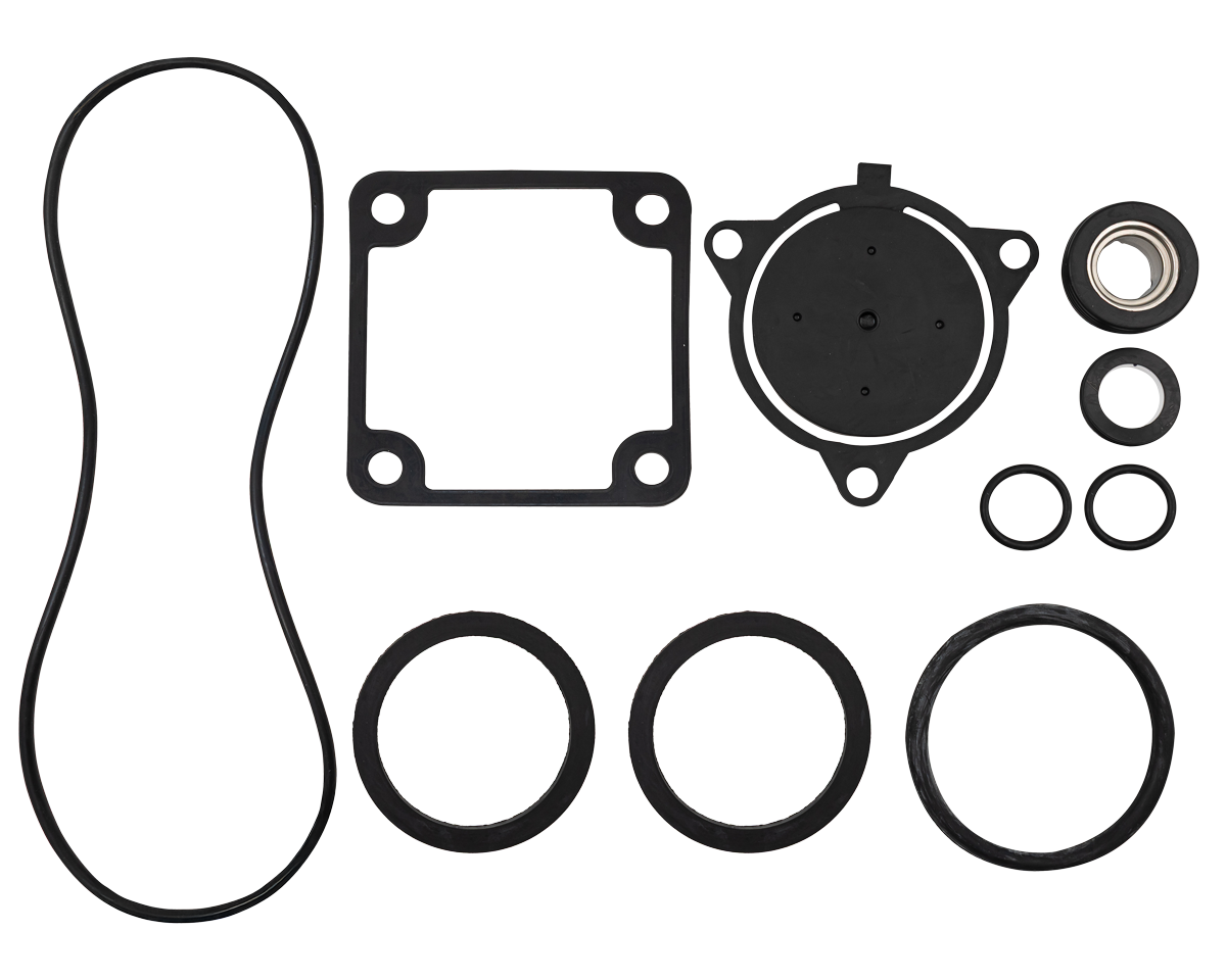 Seal Kit w m/seal WP3065 [125 85.572.251]