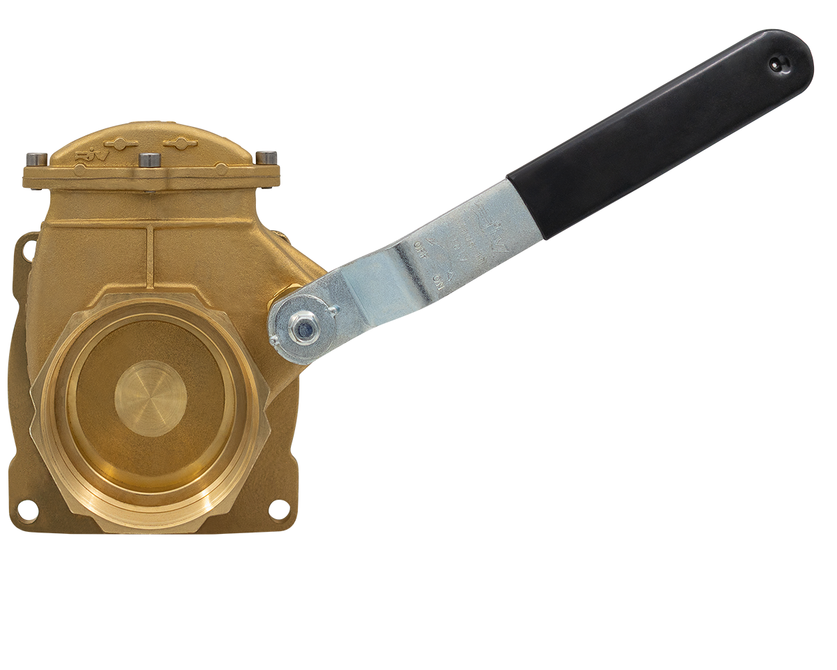 Lever Gate Valve (C1) [165 RIV580-4]