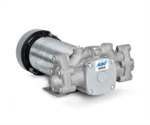 1XP CAT Pump [215 1XP075.03DC]