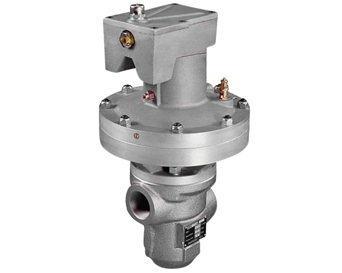 Interpump - General Pump Valve (B1) [222 PN3 240]