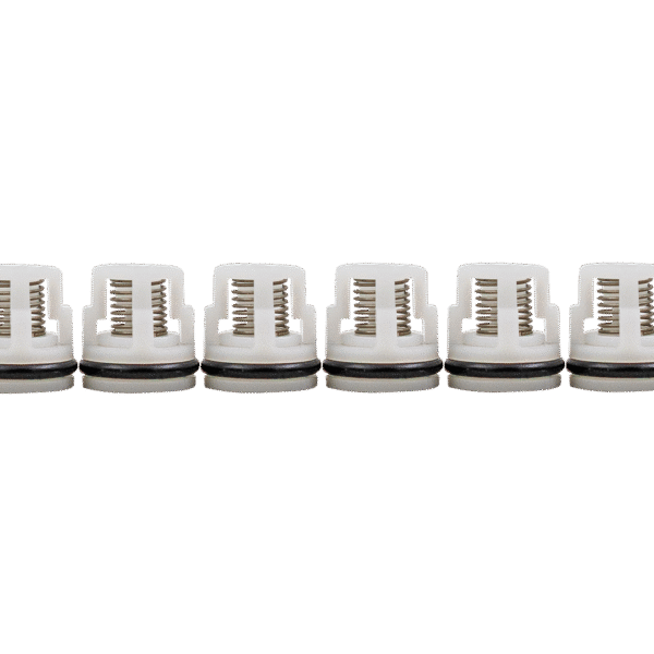 RMW2.2 Valve Kit [223 2233]