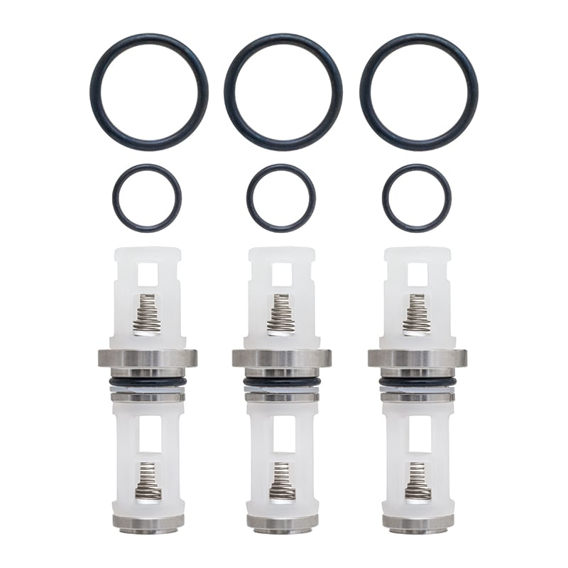 CAT Pump Valve Kit (D1) [225 76260]