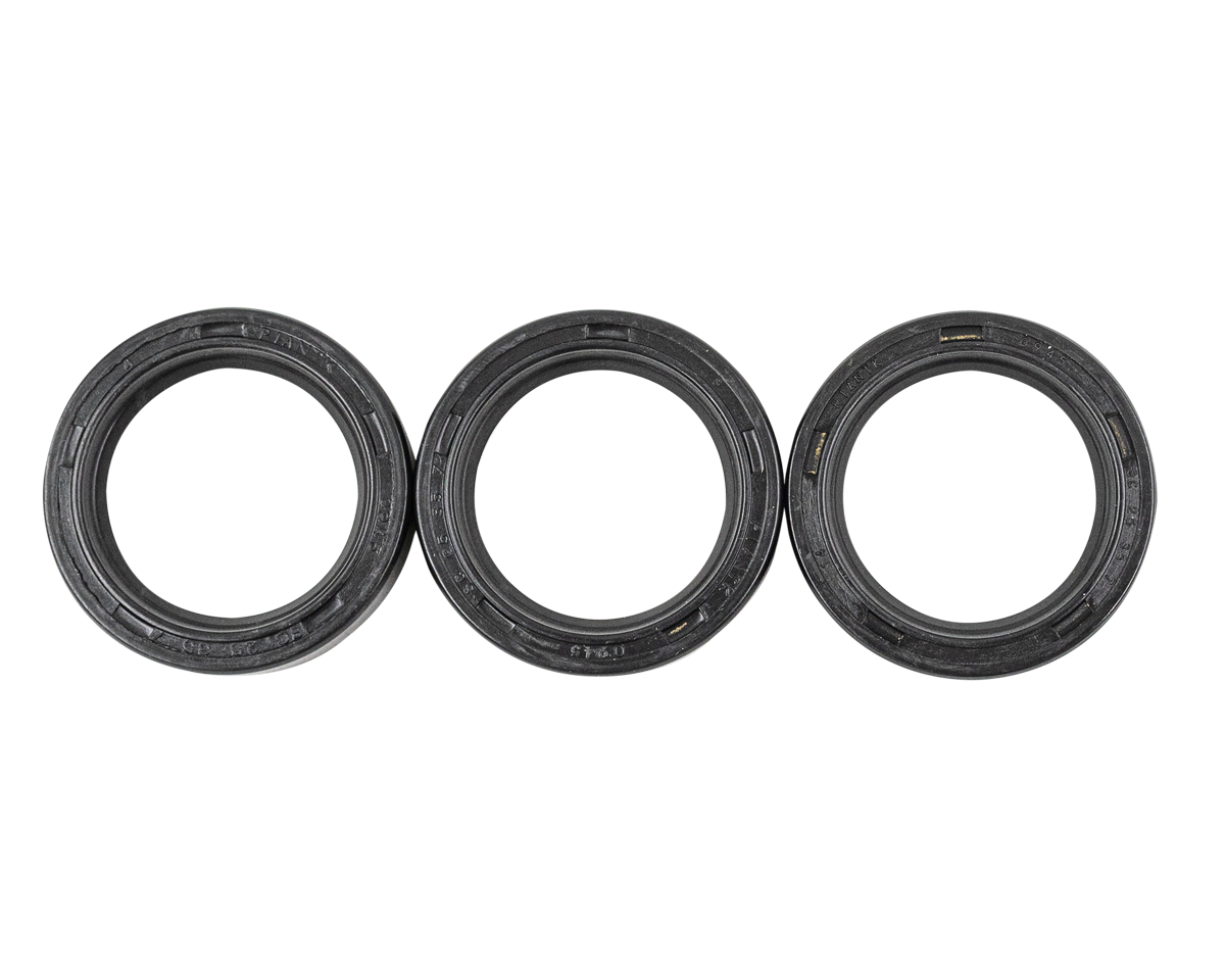 Oil Seal Kit RAL-RAS [228 KIT146 (089816973)]