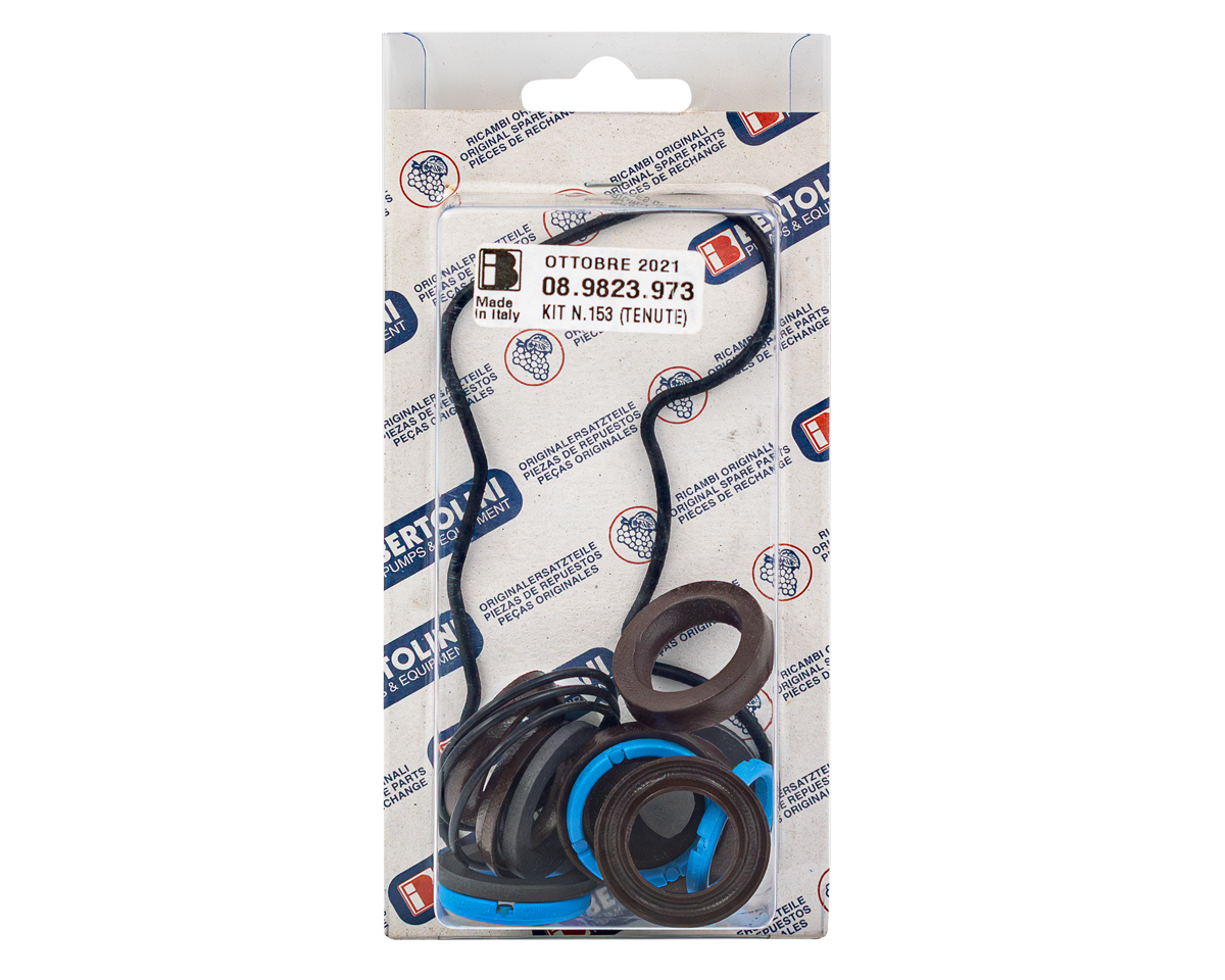 Minor Seal Kit RAS4482 [228 KIT153 (089823973)]