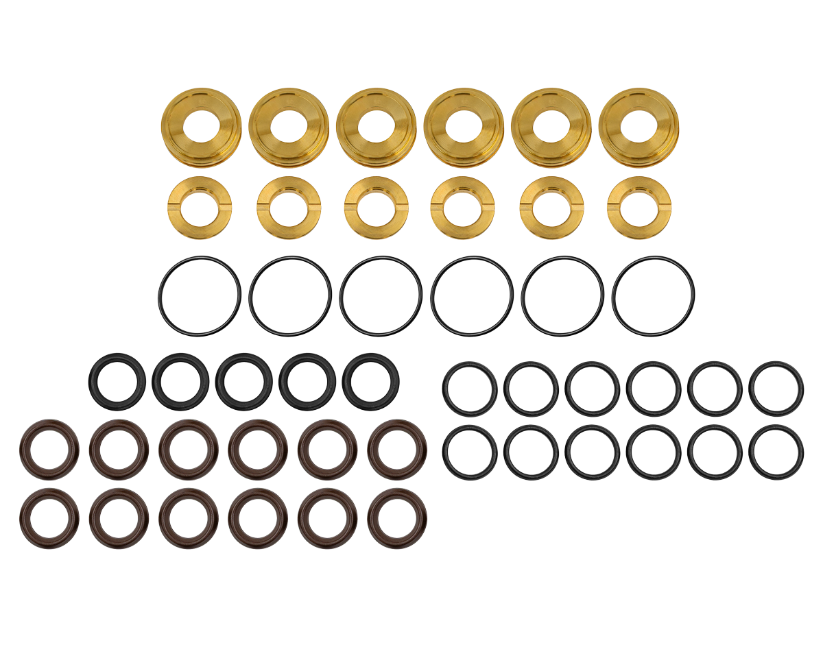 Bertolini Seal+Brass Ring [228 KIT48 (769801973)]