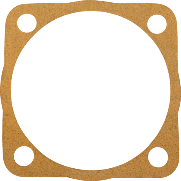 Flat Gasket G/box APS41 [115 12010021]