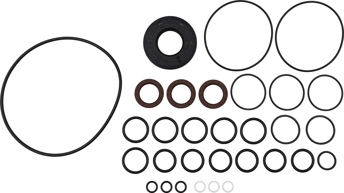 FW2 Oil Seal Kit [115 50190219]