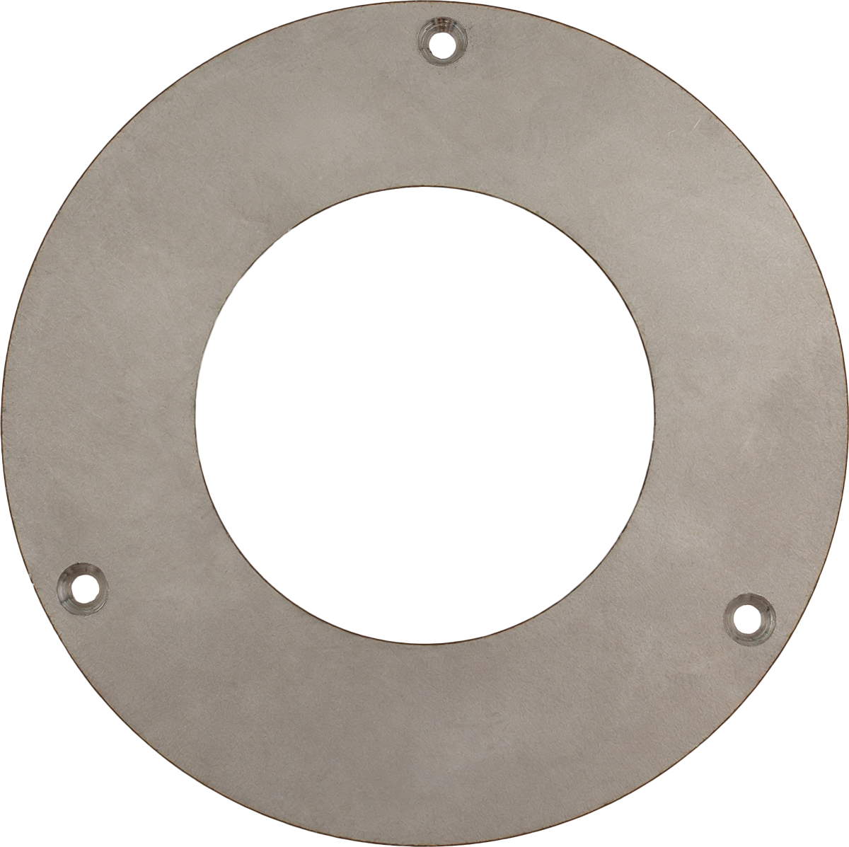 Stainless Steel Wear Disc for B3XR-AST [125 H750]