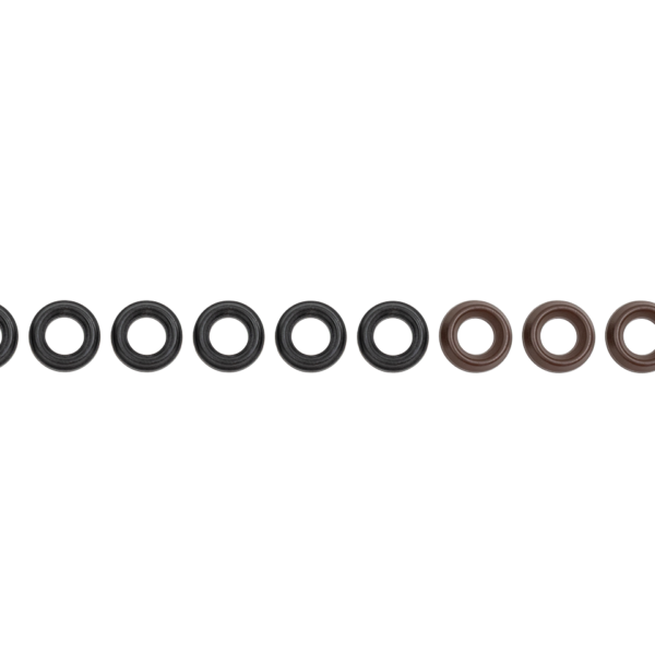 Interpump Parts Kit [222 KIT109]