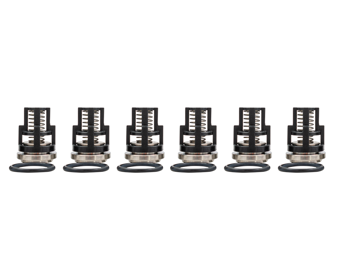 Interpump Parts Kit [222 KIT122]