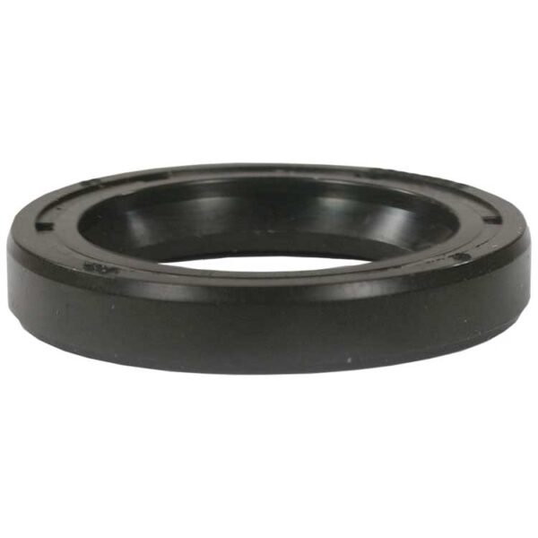 Oil Seal Kit RK Pump [223 1855]