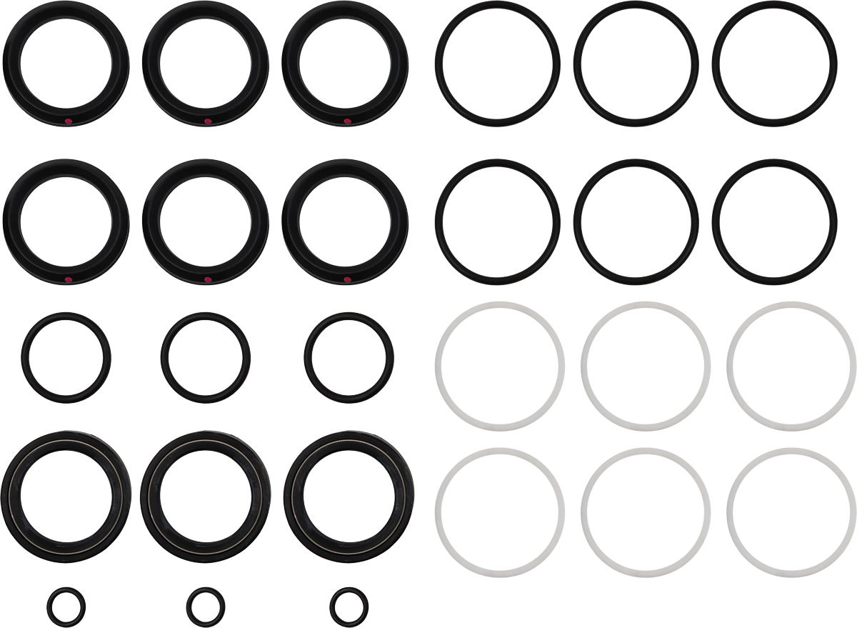 Seal Kit - 35 f - CAT Pumps[225 33055]