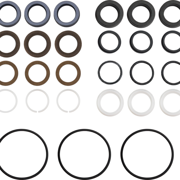 AR Seal Kit RTP38 [223 42159]