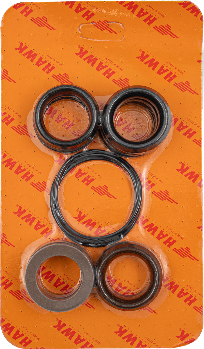 Hawk Kit Plunger "V" Seals [224 1.099-807.0]
