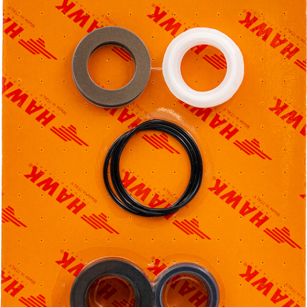 Hawk Pump Seal Kit [224 1.905-859.0]