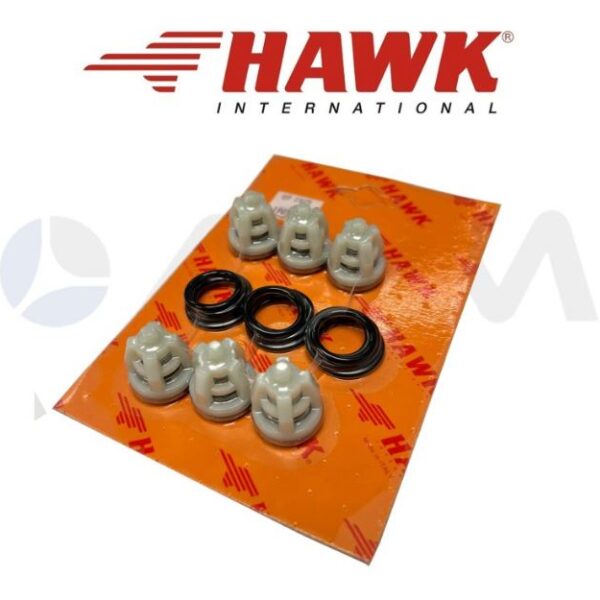 Hawk Part - Check Valve Kit [224 1.905-617.0]