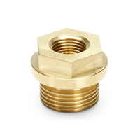 Valve Plug Adapter [225 34447]